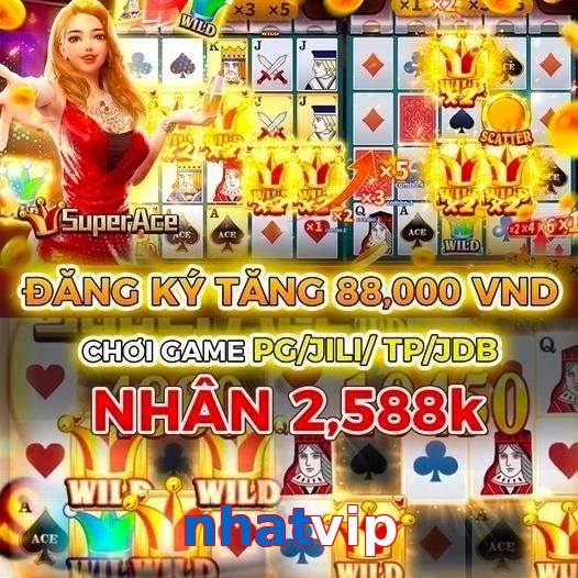 nhatvip